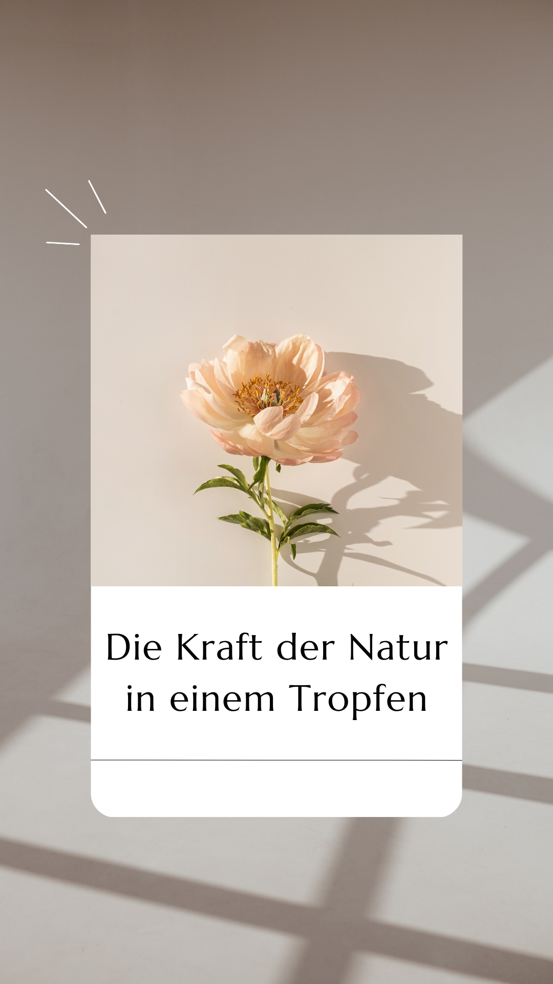 Beige Reminder Instagram Story